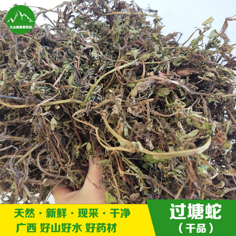 广西中草药过塘蛇干品新鲜过江龙