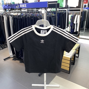 Adidas/阿迪达斯三叶草女鞋新款运动休闲透气短袖T恤JC8703-8705