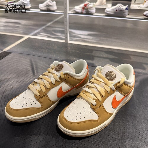 Nike/耐克男低帮休闲板鞋
