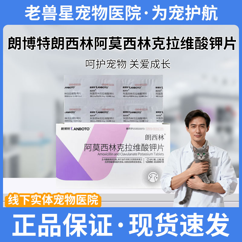 朗博特朗西林阿莫西林克拉维酸钾片宠物狗狗泰迪美短正品包邮