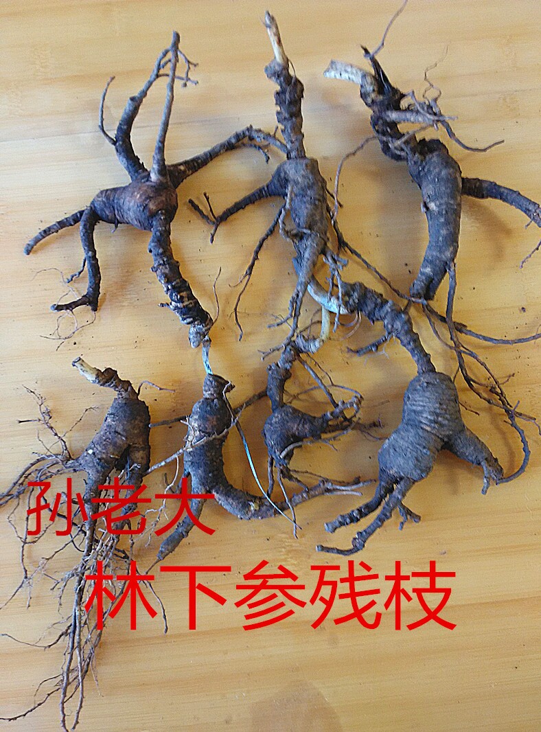 林下散装林下参集安孙老大实惠