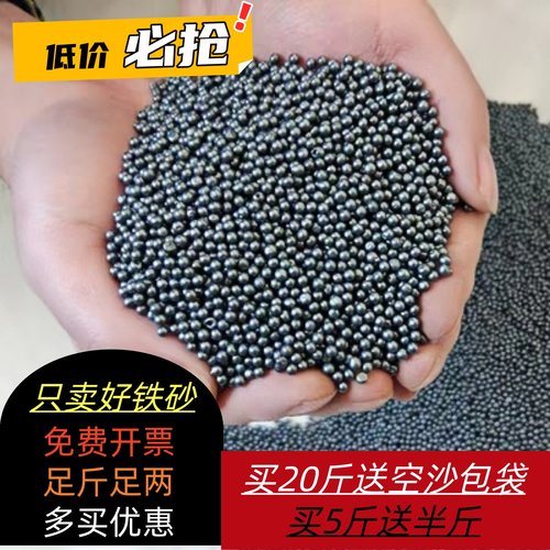铁砂掌专用铁砂负配重填充铁沙子
