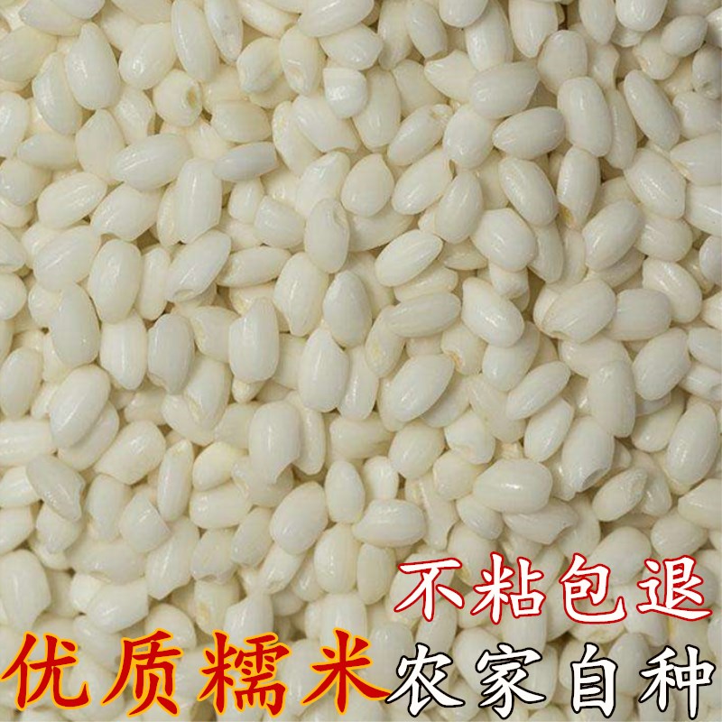 糯米江米黏米圆糯米酿酒 1斤装5包邮新糯米包粽子用食用 农家自种
