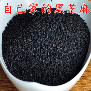 黑芝麻 乌 止脱 农家自产500g 炒熟即食 生黑芝麻自产2斤包邮