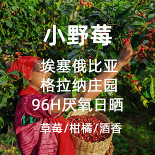 微墨 精品咖啡豆 埃塞俄比亚 耶加雪菲格拉纳小野莓 单品手冲200g