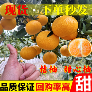 【新鲜秒发】正宗福建建阳桔柚甜心柚橘子当季新鲜水果非江西会昌