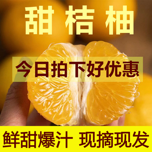 现摘 建阳甜桔柚 新鲜水果汁多橘柚孕妇甜心桔子非庆元会昌礼盒装