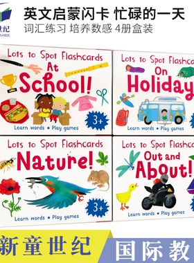 英文原版 Lots to Spot Flashcards-My Busy Day 忙碌的一天4册盒装 培养数感 儿童词汇 英语启蒙闪卡 进口原版
