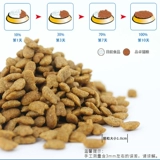 Pinzo Full -Price Food Food Salfy Catfish Flower Alavon становится кошка, кошка, кошка, кошки, жир, жир, щеки, сыр, короткая красавица