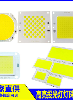 led灯珠投光灯灯芯50W100W户外照明灯配件高亮芯片光源板驱动电源