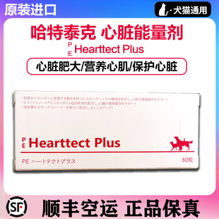 Plus 日本进口哈特泰克Hearttect PE犬猫心脏保品宠物营养补充剂