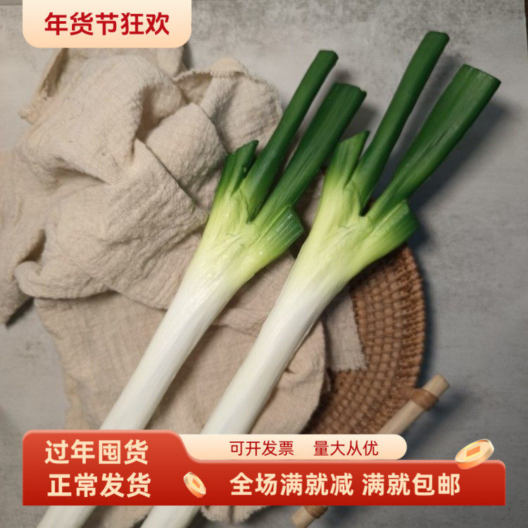 仿真大葱蒜农家乐蔬菜假模型厨房装饰品直播间展示儿童早教玩道具,鲜花速递/花卉仿真/绿植园艺,仿真果蔬,淘宝优惠券,粉丝福利购,淘宝优惠卷