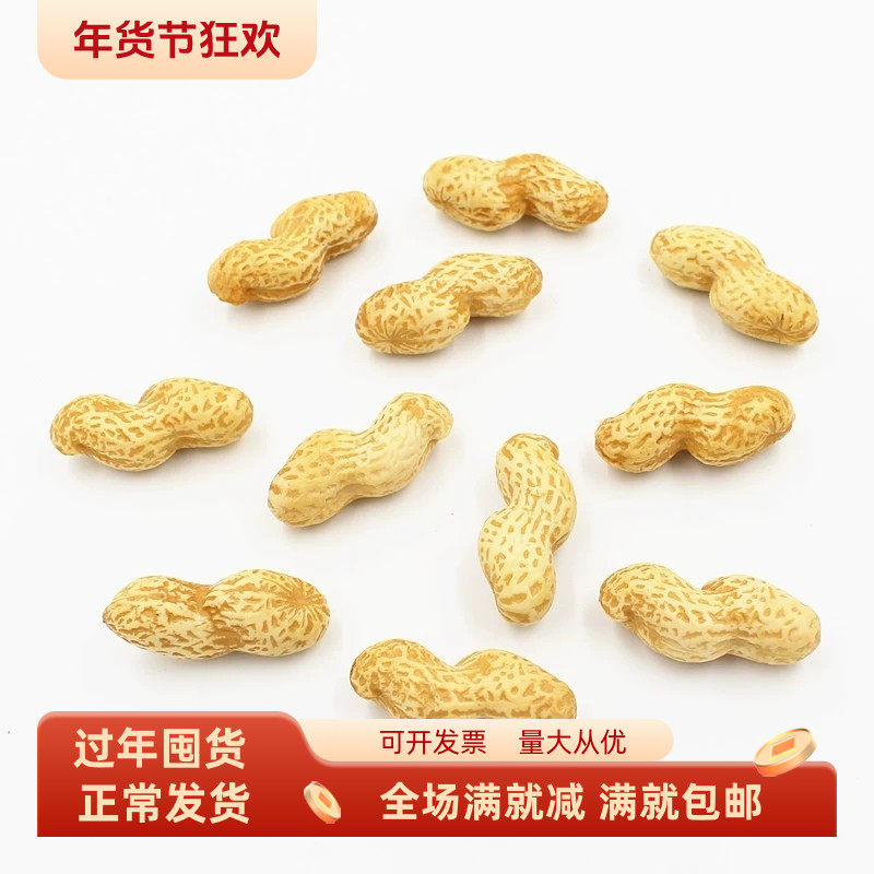 仿真花生米坚果干货五谷农作物供奉假的食物摆设装饰品手工玩道具