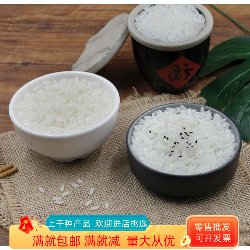 道具仿真模型装饰品儿童摆件