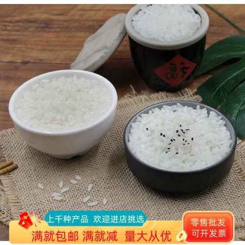 道具仿真模型装饰品儿童摆件