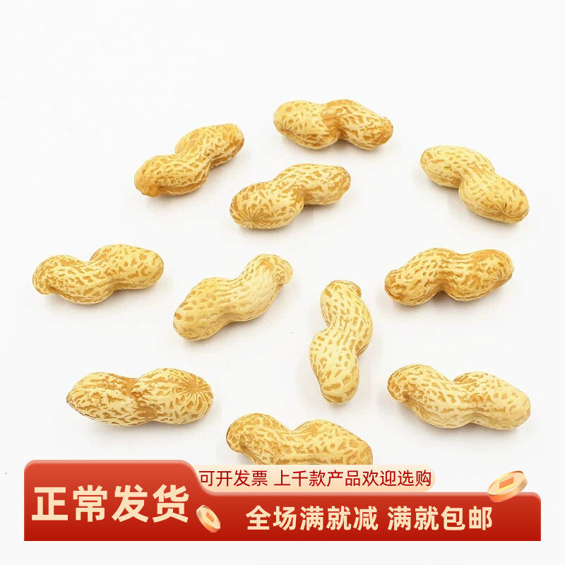 仿真花生米坚果干货五谷农作物供奉假的食物摆设装饰品手工玩道具