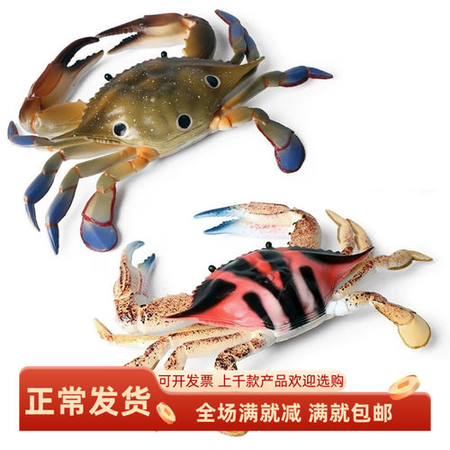 仿真梭子蟹海洋生物陈列摆设道具