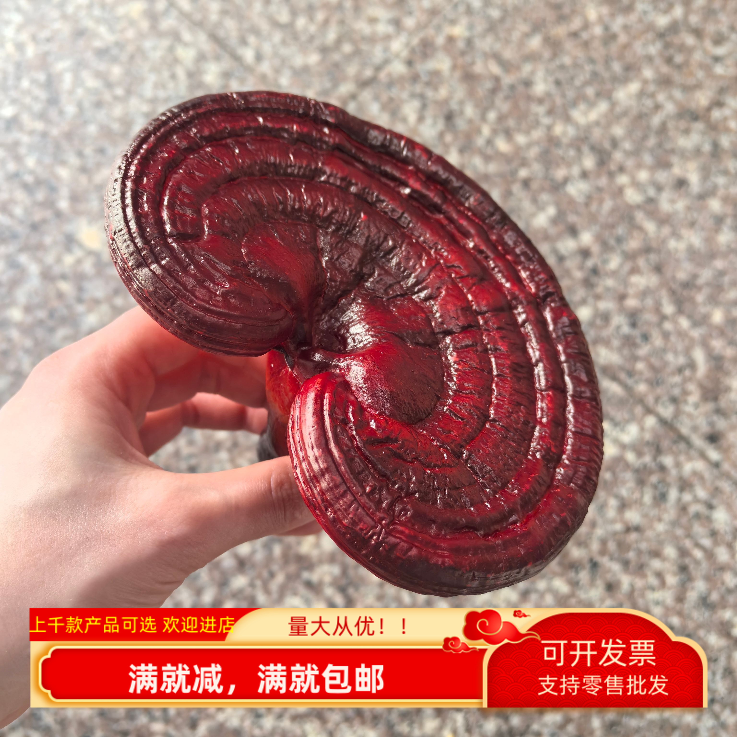 仿真灵芝模型野生菌森林道具装饰