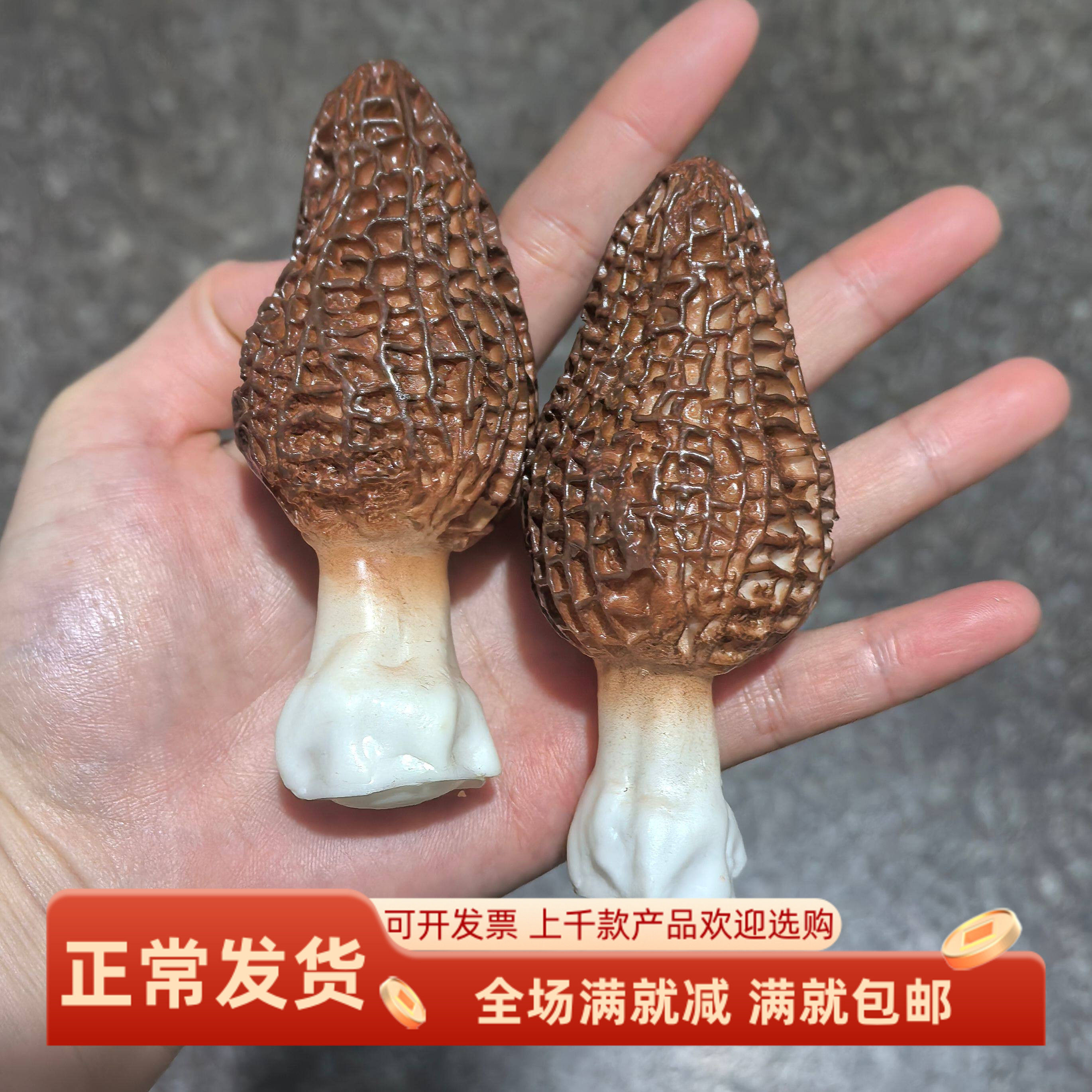 仿真羊肚菌干货野生蘑菇假的食物