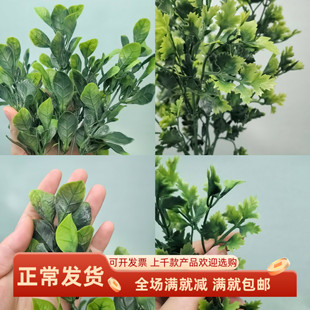 仿真香菜叶道具绿色草树植物围栏插花酒店餐厅模型摆盘蔬菜装饰品