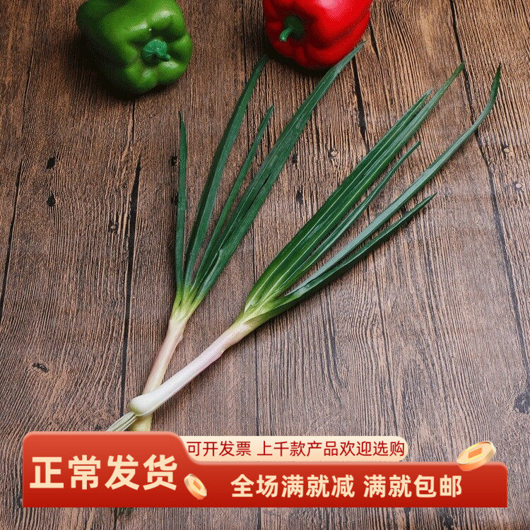 仿真大葱蔬菜模型PU软弹绿植早教蒜苗做自制发箍diy材料陈列摆设