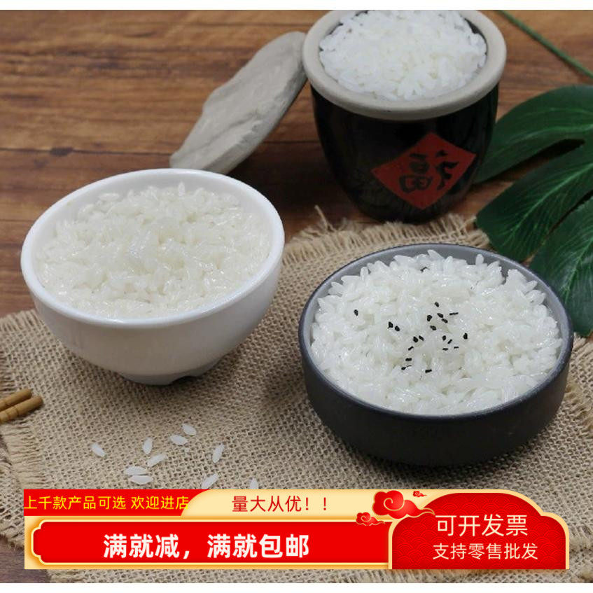 道具仿真模型装饰品儿童摆件