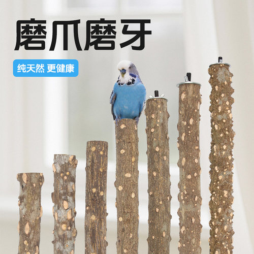 花椒木站杆八哥画眉磨爪棒