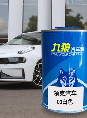 九狼汽车领成克品漆4S店喷烤漆白色灰色能量紫色红色原车漆修理厂