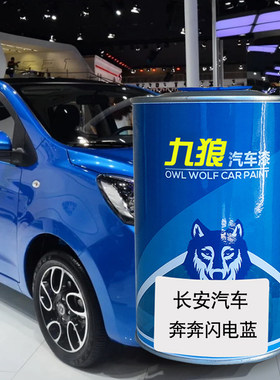 九狼汽车漆长成品安汽车漆补漆奔奔迷你闪电蓝奇迹黄蓝色杰勋银色