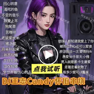 DJ王志candy大师优美旋律汽车载通用劲爆重低音慢摇串烧CD碟片U盘
