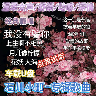 月儿像柠檬抖音快手石川小町专辑歌曲汽车载U盘经典怀旧女声翻唱