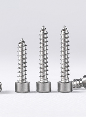 304不锈钢杯头内六角自攻螺丝音响尖尾自贡螺丝钉M1.7M2M3M4M5-M6