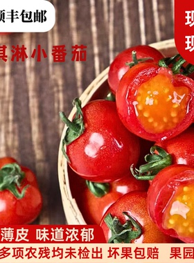 云南冰淇淋小番茄水果西红柿多汁沙拉爆浆皮薄肉嫩千禧圣女果
