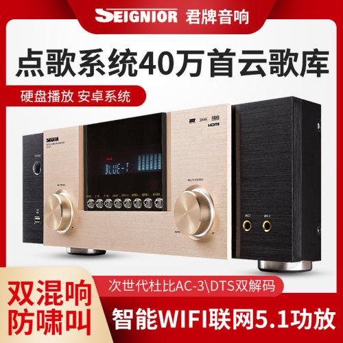 发烧杜比DTS防啸叫双混响功放机