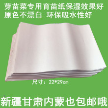 水培小麦苗专用育苗纸无土栽培 芽苗菜育苗盘专用纸 催芽保湿纸