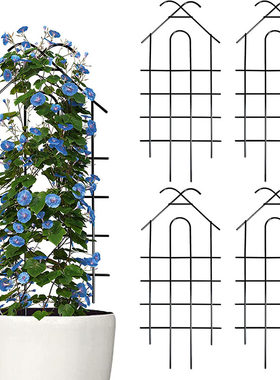 雪莹植物攀爬架铁艺固定杆