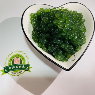 顺丰包邮新鲜葛仙米翡翠绿葛仙米高档食材创意菜特色菜素食餐厅