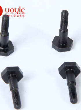 若凡  LT 刹车固定片螺丝 4个装 151035
