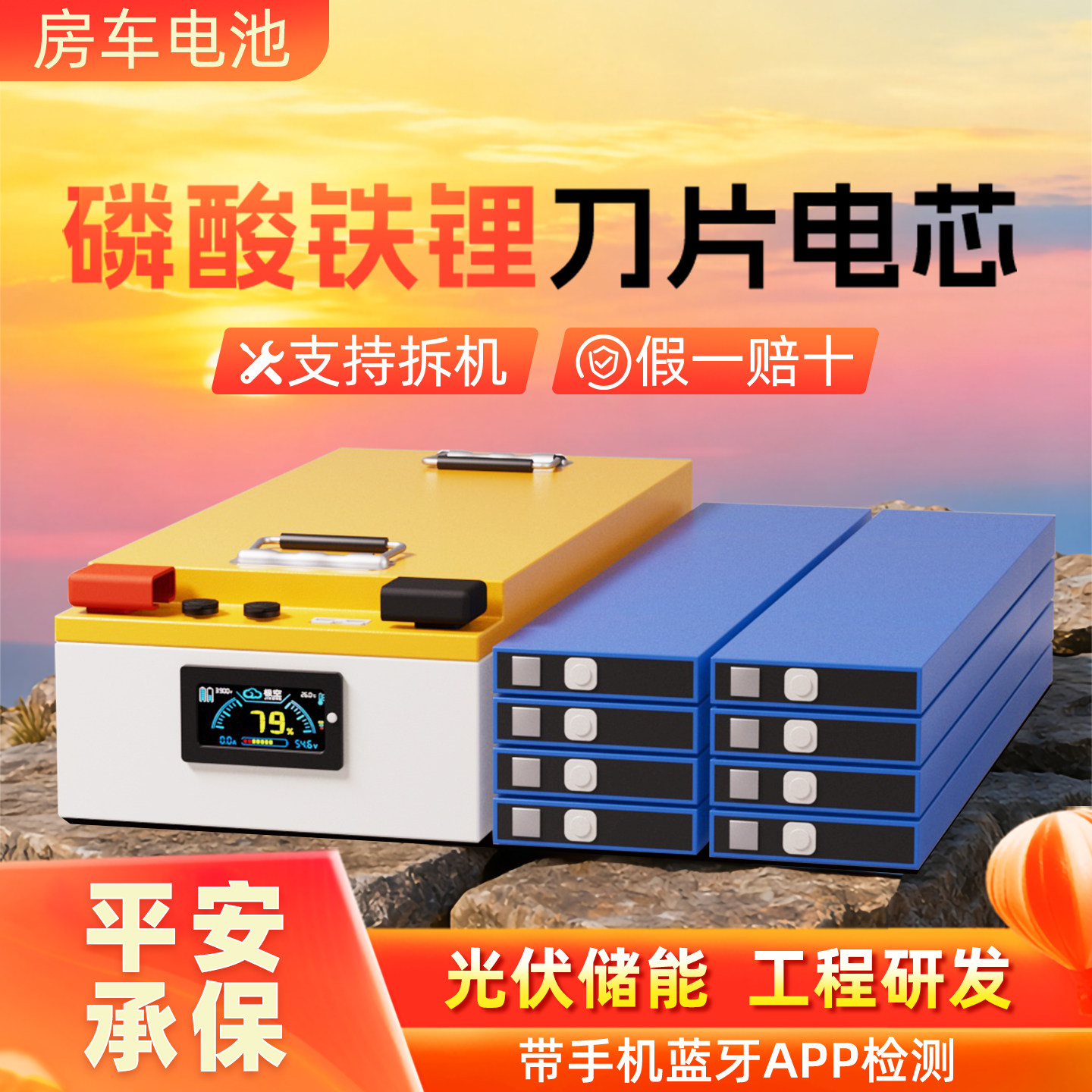 比亚迪电芯+极空BMS+足容足标图片