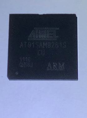 原装现货  AT91SAM9261S-CU BGA 集成电路   原装现货 专业电子元