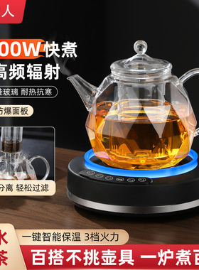 电陶炉煮茶壶迷你电茶炉烧水壶家用花茶养生壶多功能煮茶器全玻璃