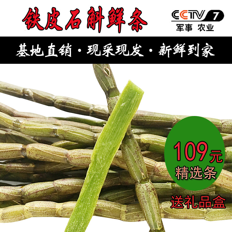 铁皮石斛鲜条500g精选乐清雁荡山四年露天石斛铁皮枫斗非霍山