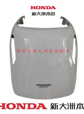 新大洲本田摩托车配件NS125T-39新款配色岩灰色前面板前护板原装