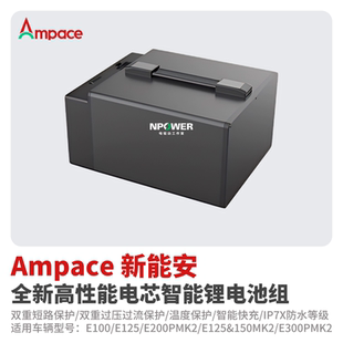 九号原厂锂电池E150MK2三电E300PMK2/E200P全新未拆封E125未激活