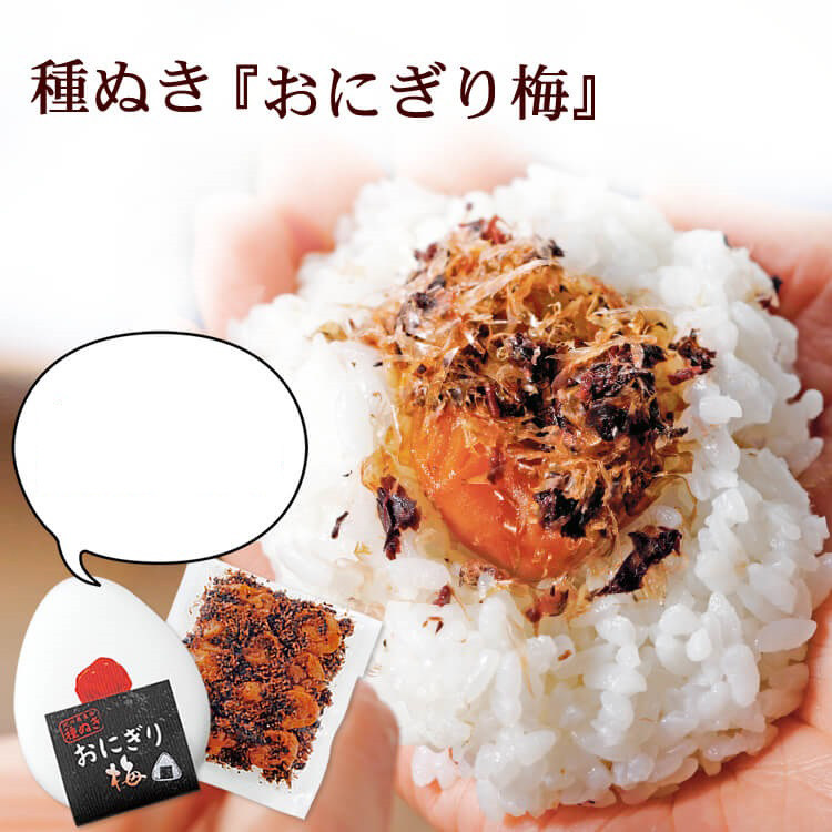 日本直邮 去核饭团梅 纪州南高梅紫苏鲣鱼干梅饭团用梅干 180g