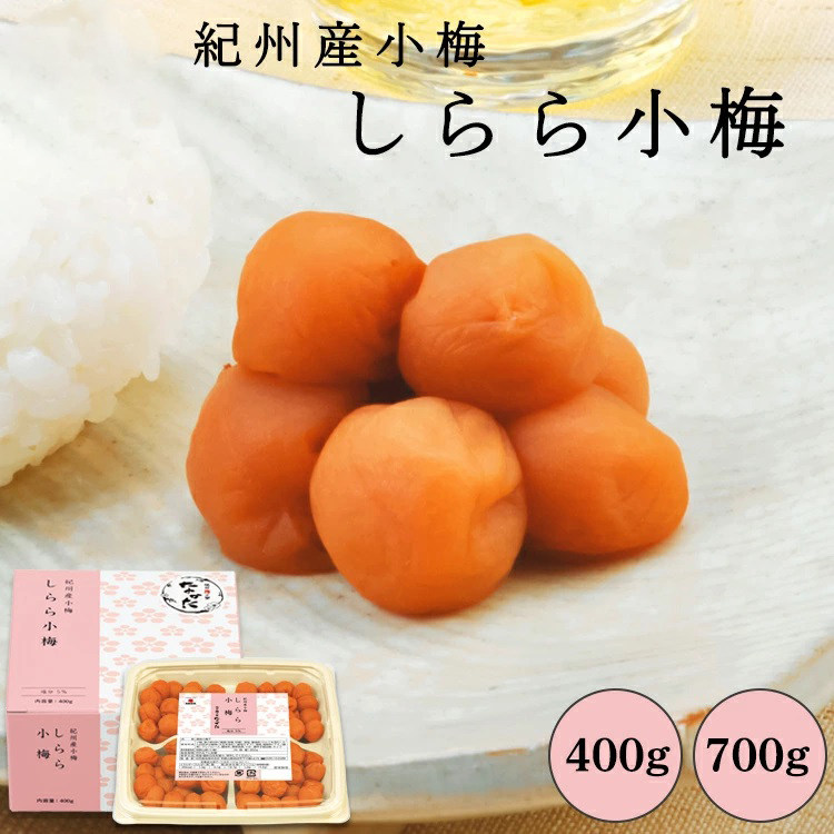 日本直邮 中田食品 白梅小梅和歌山县产纪州产小梅梅干 盐分5%