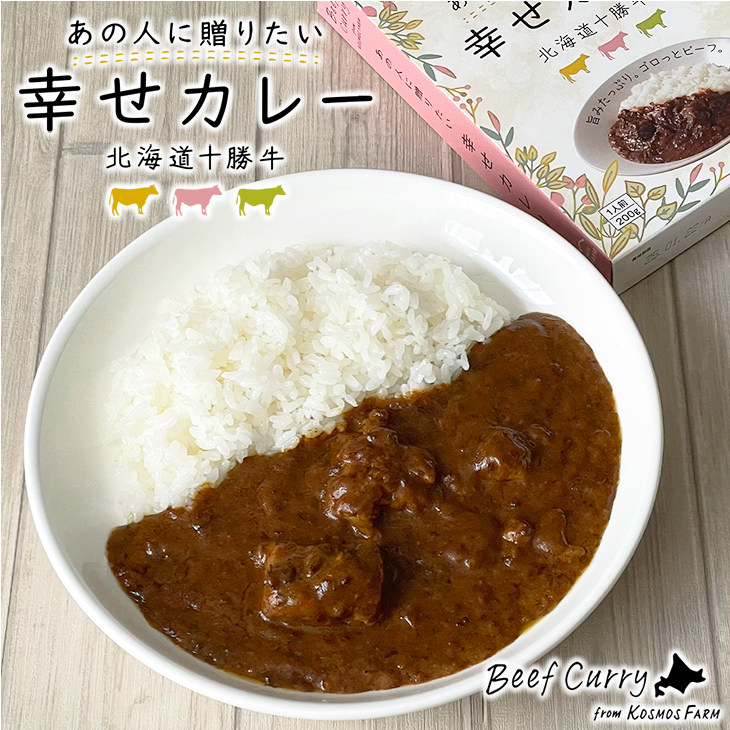 日本直邮 十勝清水咖喱 牛肉咖喱 北海道特产 1人份/盒 2盒
