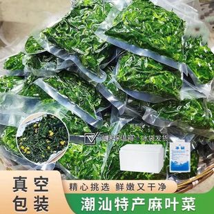 潮汕麻叶菜正宗脱水咸麻叶菜真空包装新鲜采摘配粥小菜青红白麻叶