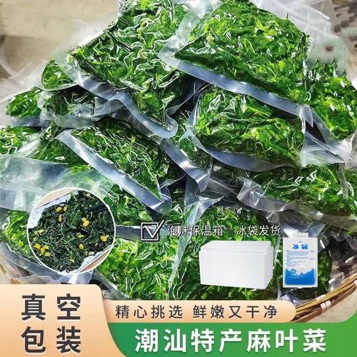 潮汕脱水麻叶菜源头直销批发零售