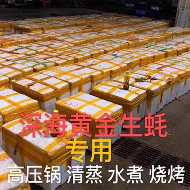 广东鲜活商用生蚝100斤特大一箱小时达烧烤全壳也可半壳潮州生蚝